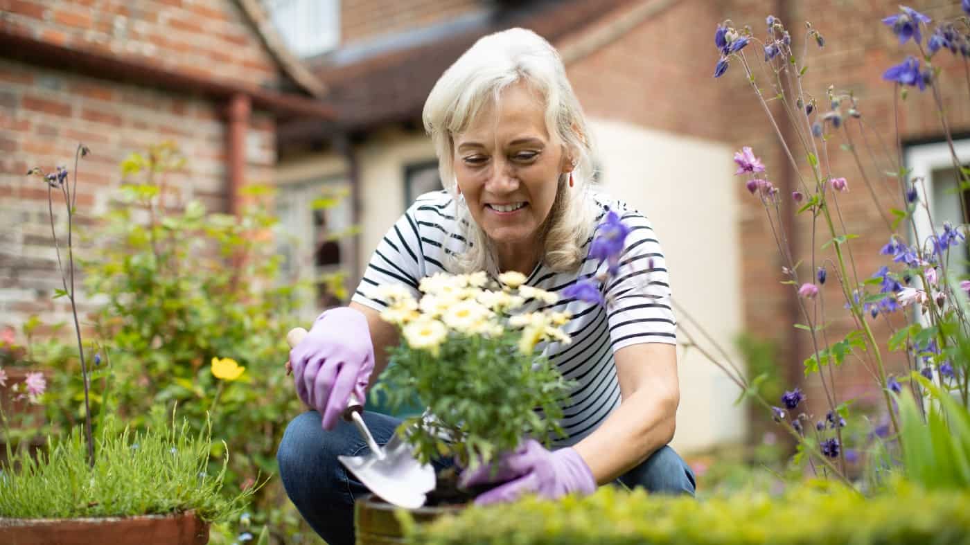Senior woman potting plant in garden at home